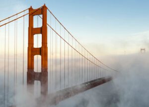 SF City Guides
